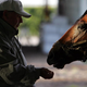 Illustration for article titled How Big Browns People Nearly Pulled Off Horse Racings Biggest Scam